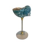 Blue natural seashell wine glass