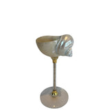 White natural seashell wine glass